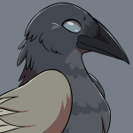 conifer crow