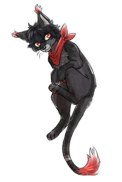 red & black cat o' thievery
