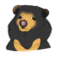 sunbear