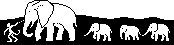 4_elephants.png