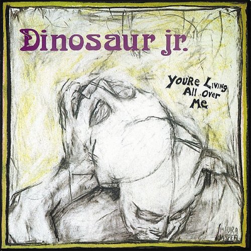 Dinosaur Jr's You're Living All Over Me