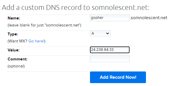 Adding a custom DNS record