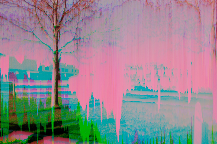 A glitchpic from a Nikon D50