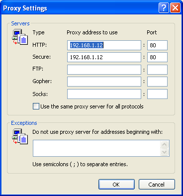 IE6's proxy settings