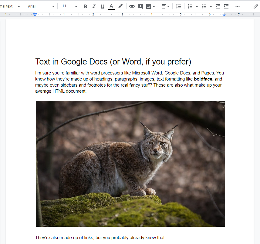 A page written in Google Docs