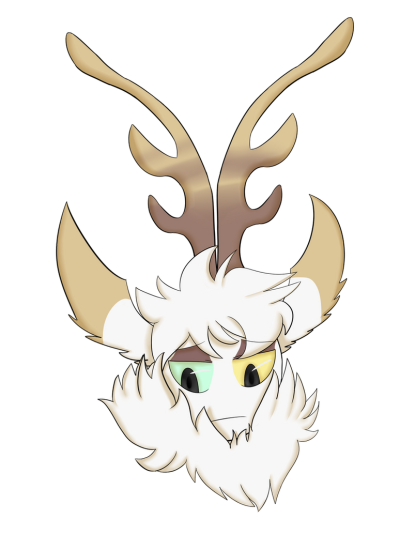 moth with antlers i guess