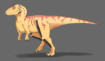 just a theropod