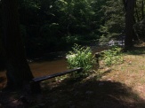 The bench overlooking the water