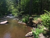 Another view upstream, with a really crazy curved tree root sticking out of the dropoff