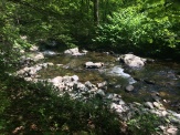 A bit further up the creek, where the rocks start piling up