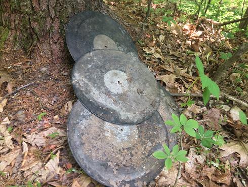 Dirty, worn, discarded records along the trail