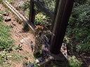 A leopard hanging on a fence under us