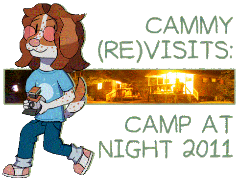 Cammy Revisits: Camp at Night 2011