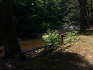 A hand-carved wooden bench near the creek